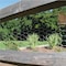Garden Zone Garden Craft 36 in. H X 50 ft. L Galvanized Steel Poultry Netting 1 in. 163650 - alternate 2